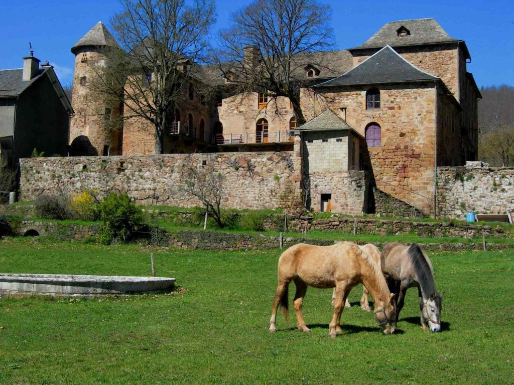 Chateau De Salelles Banassac Luaran gambar